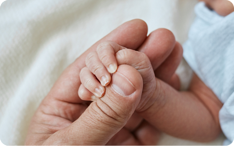 Правительство Нижегородской области увеличит число региональных квот на экстракорпоральное оплодотворение